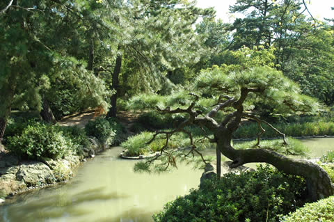 kagawa (2).jpg